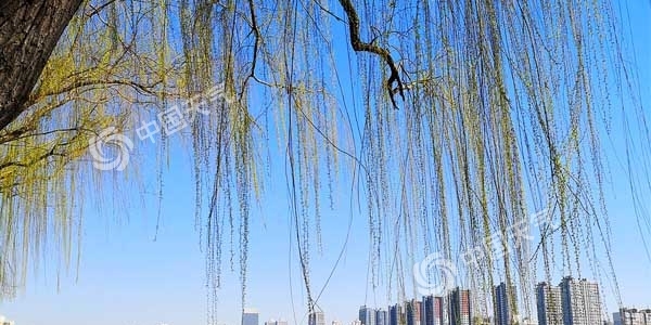 河北4日气温最高接近30℃ 大部林区达极度火险