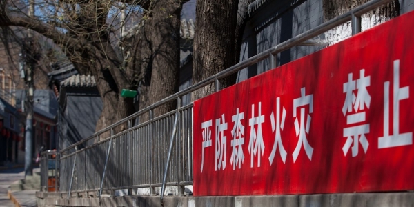 香山公园直面首个森林火险红色预警-图6
