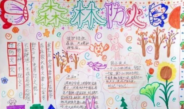 2019小学生森林防火手抄报 简单易懂森林防火知识手抄报图