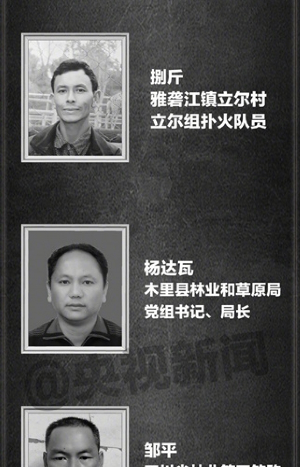 记住英雄的样子！30名牺牲扑火人员名单公布-图9