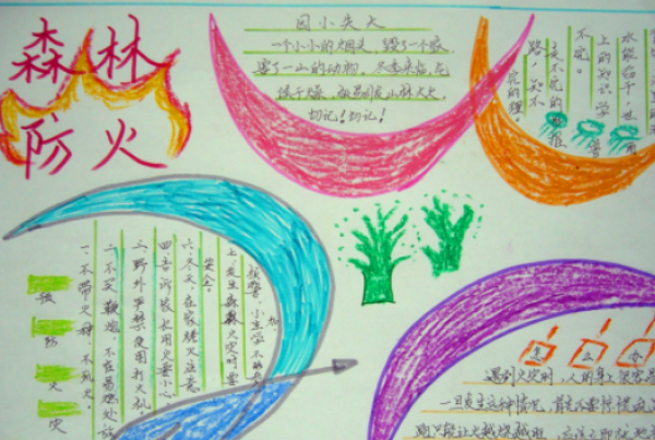 2019森林防火手抄报一等奖 森林防火手抄报一等奖简单又漂亮的