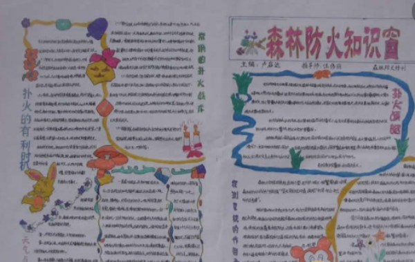 2019森林防火手抄报一等奖 森林防火手抄报一等奖简单又漂亮的