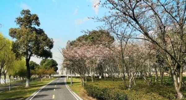 江苏局地气温回升至19℃ 清明期间全省天气晴朗