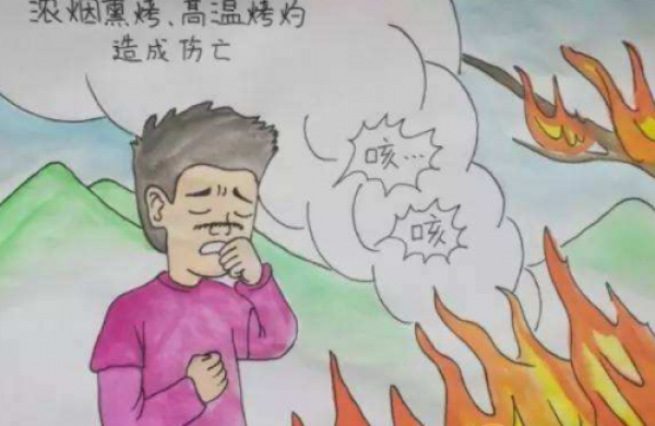 2019森林防火画画图片大全 森林防火儿童绘画图片集锦