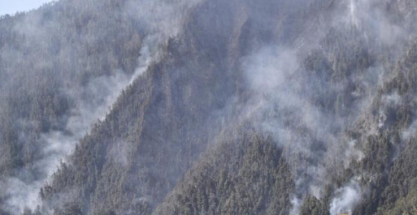 四川火灾最新消息今天 明火已被扑灭3架直升机清理
