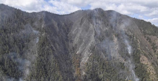 什么是林火爆燃？四川凉山木里森林火灾造成30人死亡原因揭秘