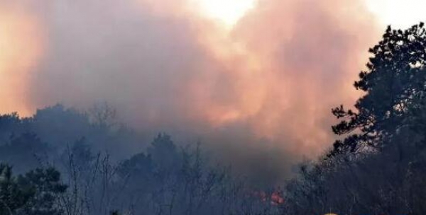 四川火灾最新消息今天 凉山森林火灾原因揭秘