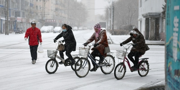 重回冬季！内蒙古呼伦贝尔迎春雪-图3