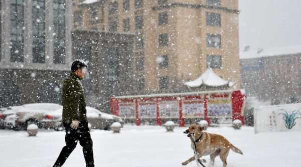 重回冬季！内蒙古呼伦贝尔迎春雪-图8