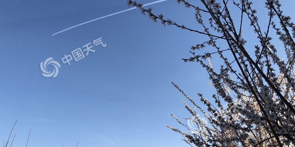 清明节北京大风沙尘齐至