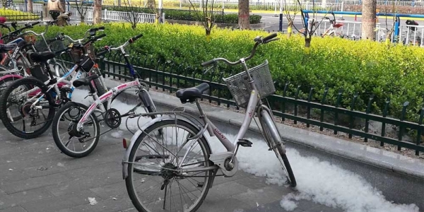 杨絮漫天 河北石家庄四月“飞雪”惹人烦-图4