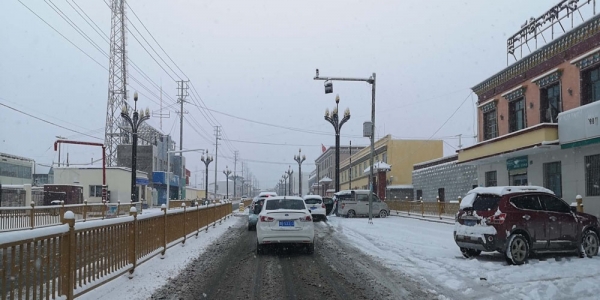 青海玉树曲麻莱降雪 交通畜牧业受影响-图1
