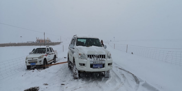 青海玉树曲麻莱降雪 交通畜牧业受影响-图4