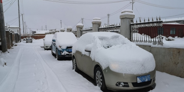 青海玉树曲麻莱降雪 交通畜牧业受影响-图6