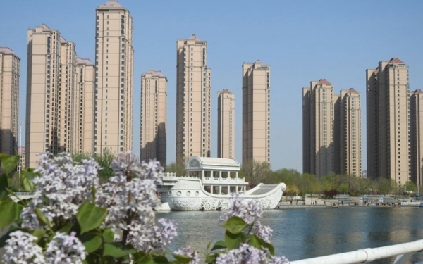 春满津门 春花烂漫-图8