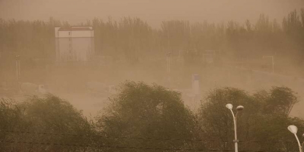 新疆南部多地风起沙扬 天空一片昏黄-图1