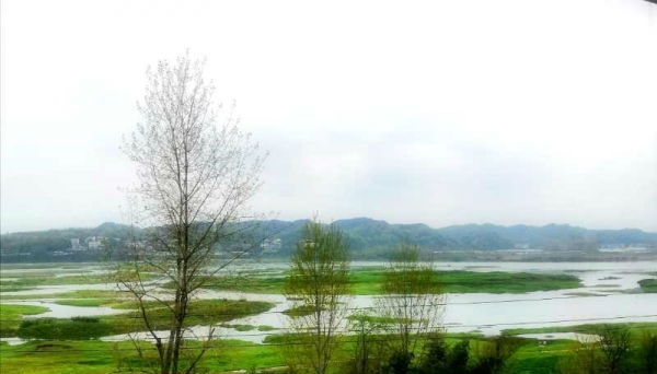 湖南泸溪：湘西小镇春意盎然-图3