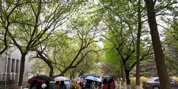 冷！山东大风吹气温“大跳水” 明早局地最低温仅2℃