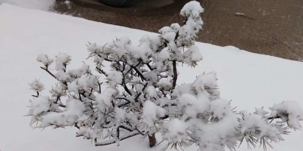 河北迎来大范围雨雪天气 保定山区降大雪-图1