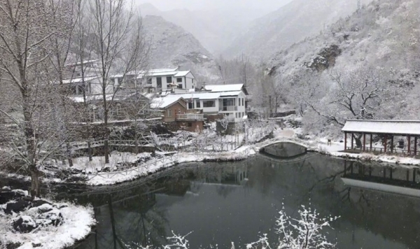 北京郊区四月飞雪 香山桃花戴上雪“帽子”-图5