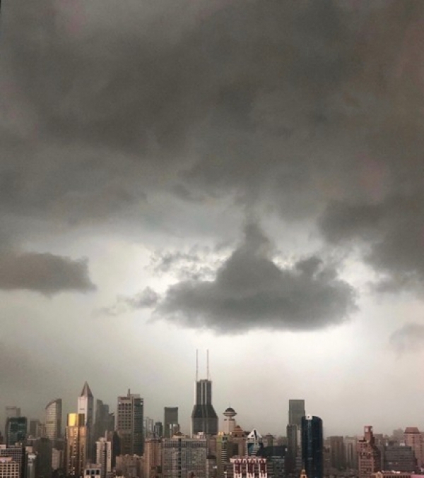震撼似大片！上海大风和雷电预警齐发 天空秒变黑夜-图3