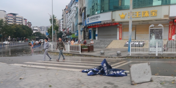 四川广安遭遇今年首场强对流 大树被连根拔起-图2