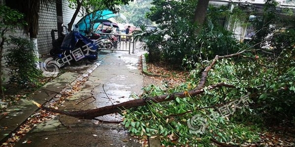 江南降温可达15℃ 降水重心移至南方