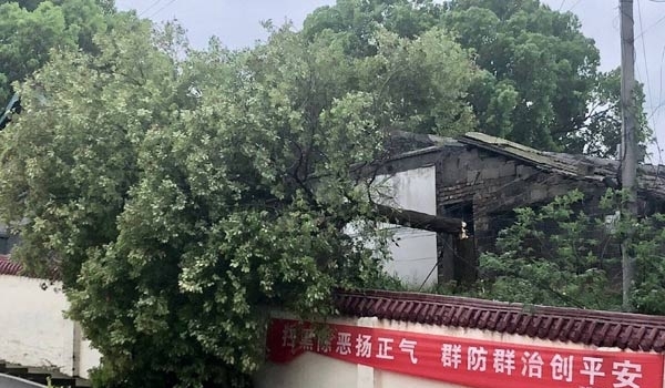 今天湖南多地迎来降水 气温低迷