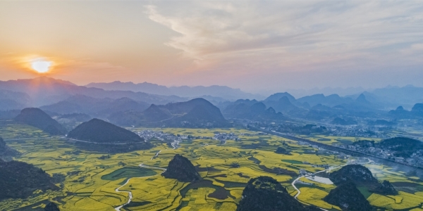 贵州六枝油菜花开满地金黄-图5