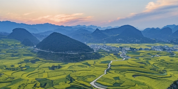 贵州六枝油菜花开满地金黄-图4