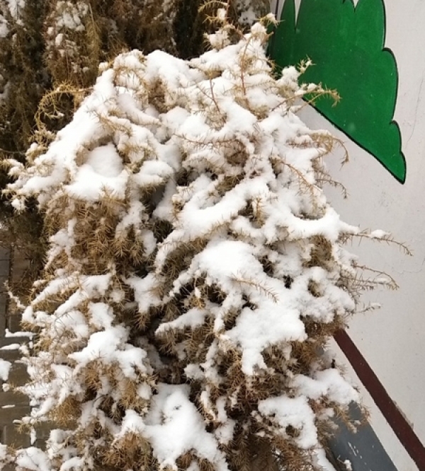 山西多地最低温跌至冰点下 大同广灵积雪难化-图8