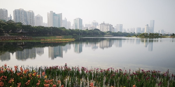 广西今明天逐渐变清凉 局地有暴雨