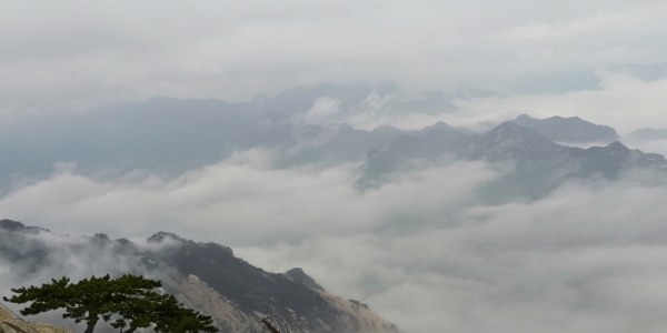 陕西华山：雨后云海竟如此壮观-图1