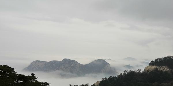 陕西华山：雨后云海竟如此壮观-图3