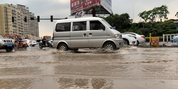 强对流突袭广西玉林 12级大风刮倒大树路面积水严重-图2