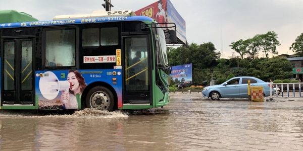 强对流突袭广西玉林 12级大风刮倒大树路面积水严重-图1
