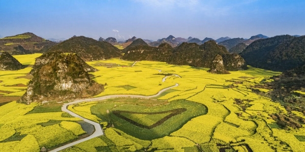 张张能当壁纸 带你一路从北到南看尽繁花似锦-图10