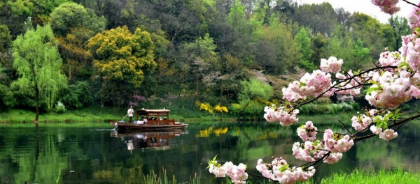 张张能当壁纸 带你一路从北到南看尽繁花似锦-图12