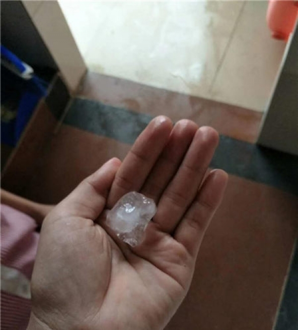 广东雷州出现今年首次冰雹 香瓜受灾严重-新闻频道-周六天气软件-图3