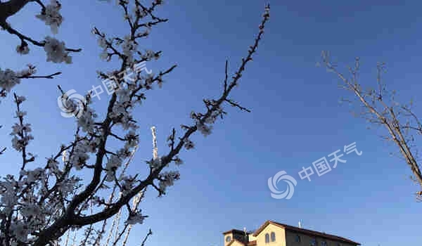 北京半马开跑 天晴风不小