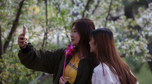 当美人遇上春花 你更喜欢哪一个？-图3