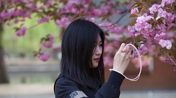 当美人遇上春花 你更喜欢哪一个？-图7