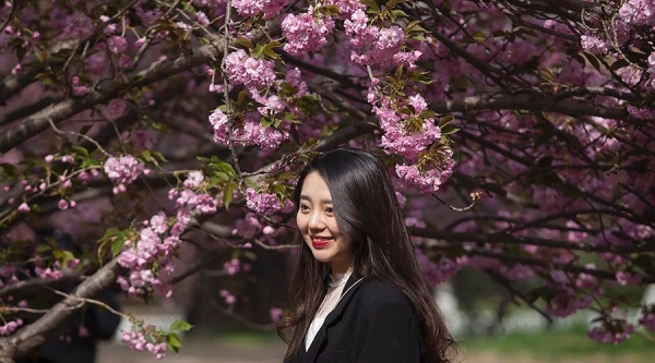 当美人遇上春花 你更喜欢哪一个？-图5