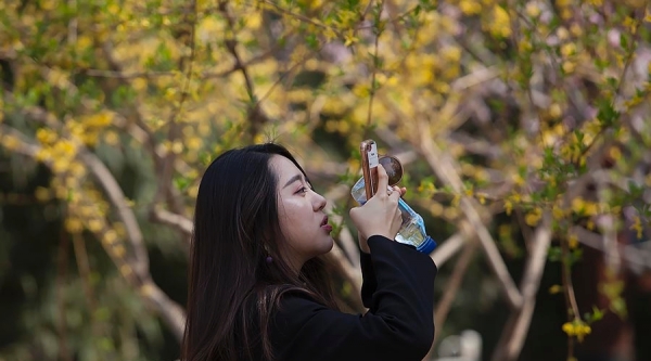 当美人遇上春花 你更喜欢哪一个？-图8