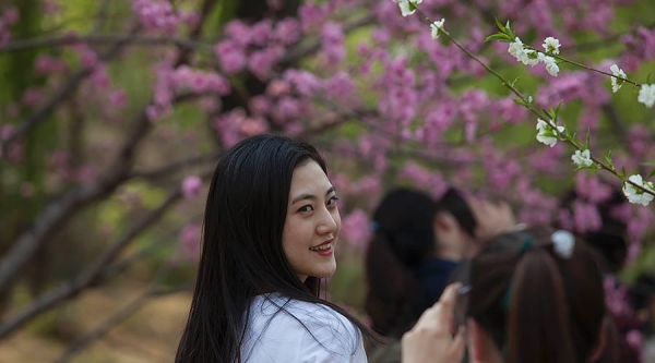 当美人遇上春花 你更喜欢哪一个？-图10