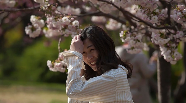 当美人遇上春花 你更喜欢哪一个？-图12