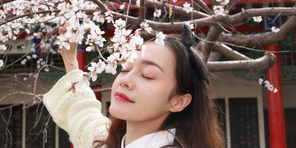 当美人遇上春花 你更喜欢哪一个？-图21