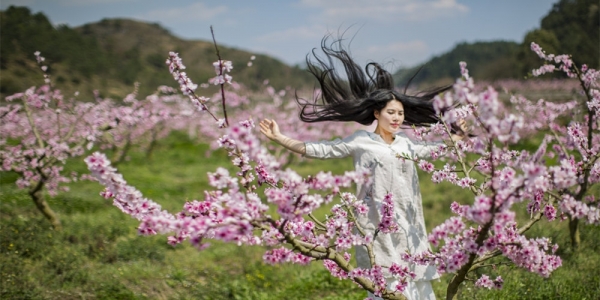 当美人遇上春花 你更喜欢哪一个？-图20