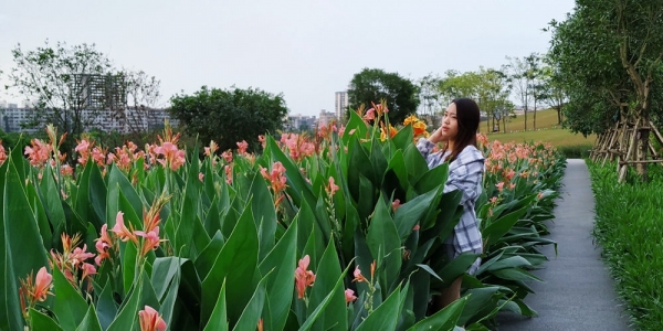 当美人遇上春花 你更喜欢哪一个？-图25