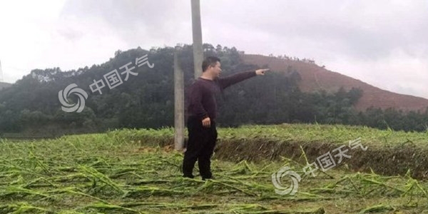 广西今天进入降雨最强时段 局地有大暴雨